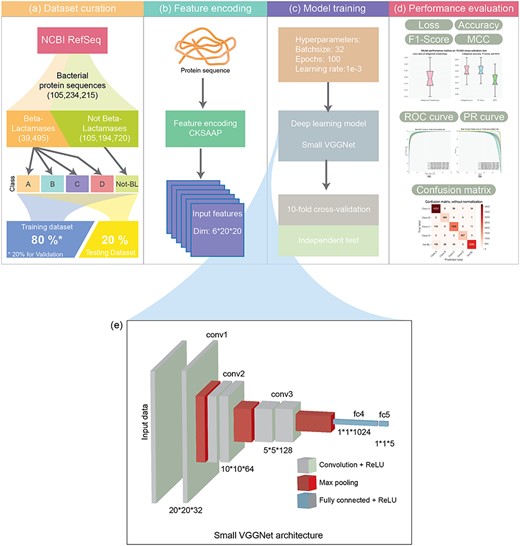 The architecture of the DeepBL methodology. The development of DeepBL involves four major stages, including (A) data curation, where all ‘BL’ sequences annotated in the NCBI RefSeq database are extracted and used as the positive samples, whereas 0.015% of all ‘Not BL’ sequences are randomly chosen as the negative samples to constitute the ‘Not-BL’ subset; (B) feature encoding, where the sequence encoding scheme CKSAAP is applied to encode the sequence of proteins in the benchmark dataset; (B) model training, where the model architecture is built, model hyperparameters are optimized and training strategies are compared and (D) performance evaluation, where the performance of DeepBL models is assessed by performing 10-fold cross-validation and independent tests. (E) shows the detailed architecture of the Small VGGNet deep learning framework.