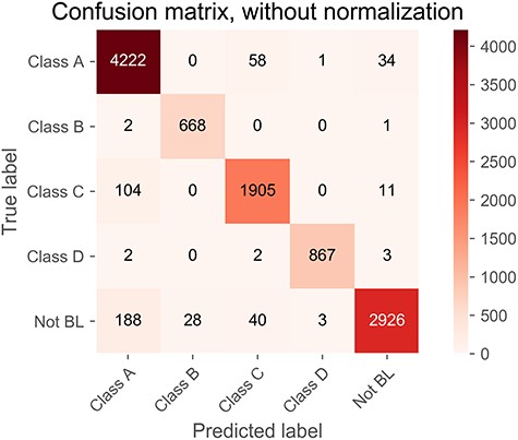 Confusion matrix of predicted results on the independent test. The matrix represents the distribution of the outputs for each of the five BL classes. Correctly predicted numbers are highlighted and shown on the diagonal line.
