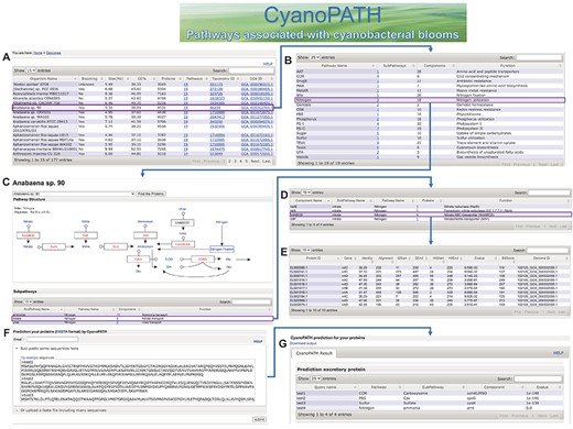 The main pages of CyanoPATH. A: the Genome page that stores 178 genomes with associated metrics; B: the Pathway summary page for each genome; C: the Nitrogen utilization pathway in Anabaena sp. 90; D: the major transporters in nitrate and nitrite utilization; E: the protein constituents of the nitrate ABC transporter; F: user uploading sequences for prediction; G: the predicted pathways.