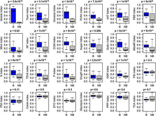 Comparison of the CyanoHAB-associated pathways and core metabolic pathways in terms of the number of proteins in each pathway between blooming and non-blooming strains. B: blooming; nB: non-blooming. P values of Wilcoxon tests are displayed on top of the panels.