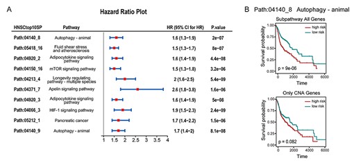 (A) Forest plot shows HR, the 95% confidence interval (CI), and P-values of the top 10 significant subpathways in HNSC calculated by the univariate Cox proportional hazards regression model. (B) Kaplan–Meier plots show the prognostic signal related to the subpathway path:04140_8 in the autophagy pathway. The upper shows all genes in the path:04140_8 as signature; the lower shows only CNA genes in the path:04140_8 as a signature.