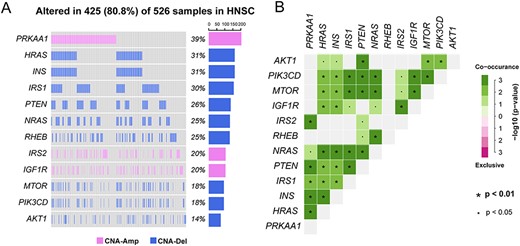 (A) Waterfall plot of 12 genes with CNAs in the subpathway path:04140_8 in the autophagy pathway. (B) Co-occurrence and mutual exclusivity plots between genes with CNAs. Fisher’s exact test was used to calculate the statistical significance between each pair of genes.