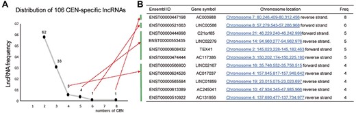 Features of CEN-specific lncRNAs. (A) Distribution of the 106 lncRNAs that particularly expressed in both N-Hn and S-Hn CEN groups: 62 of them are detected in 2 CEN individuals, while 11 lncRNAs express in ≥4 CENs; (B) Description of the 11 CEN-specific lncRNAs.