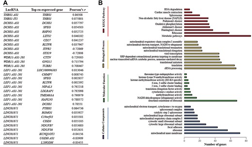 Functional prediction of DElncRNAs by co-expression analysis. (A) List of the top co-expressed genes (ranking by Pearson’s r); (B) Histogram presentation of the most abundant Gene Ontology (GO) terms and KEGG pathways assigned to the 1261 genes that strongly (|r| > 0.7) co-expressed with 6 SDE (DE) lncRNAs.