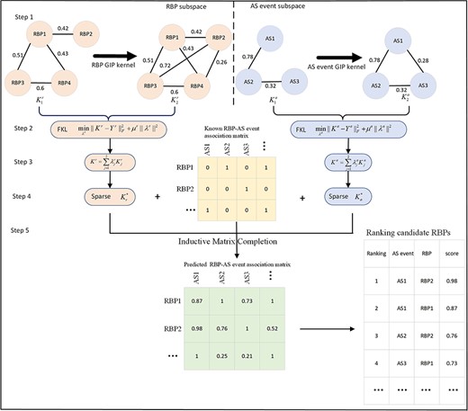 Flowchart of the RAIMC model to predict potential RBP-AS event associations. Step 1: construct RBP regulating similarity and AS event module similarity. Step 2: compute GIP for RBPs and AS events. Step 3: use FKL to combine similarity matrices. Step 4: employ top-$k$ nearest neighbor model to denoise the integrated similarity matrix. Step 5: complete the association matrix with IMC.