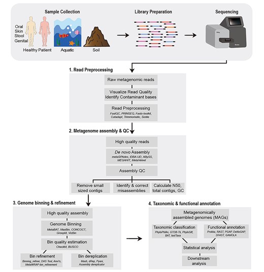 Schematic representation of the workflow for genome-resolved metagenomics analysis. The typical genome-resolved analysis of metagenomes, obtained through any source, typically involves four steps i.e. (1) read preprocessing, (2) metagenome assembly and QC, (3) genome binning and refinement and (4) taxonomic and functional annotation of the recovered MAGs. In the figure, examples of several tools for each of the steps is also provided (names italicized).