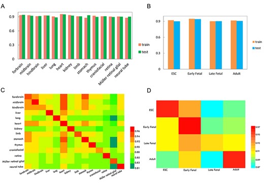 The 5-fold cross-validation, independent datasets validation and cross-cell validation were used to analyze the robustness and reliability of propose models. The histogram to show the performances of the 5-fold cross-validation of the training datasets and independent datasets validation, it is generated by the DHS datasets of tissues (A) and developmental stages (B), respectively. The heat map showing the values of AUROC in cross-cell types validation (C) and cross-developmental stages validation (D). Once a cell-specific model was established on its own training dataset in rows, it was validated on the data from the same cell as well as the independent data from the other datasets in columns.
