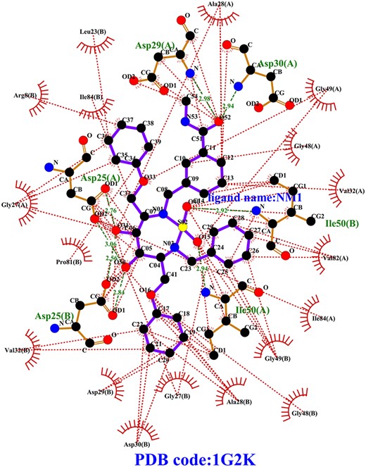 Diagram of 2D ligand-pocket interaction for 1G2K. The ligand bonds and ligand name NM1 are colored in purple. The hydrophobic residue of pocket and hydrophobic interactions between pocket residues and ligand are colored in red. The hydrogen bonds between residues and ligand are indicated by the green dotted lines. The hydrogen bond residues are colored in yellow and the names are colored in green.