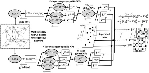 The flowchart of the NMR-RGCN, which is a specific model of Neural Multi-Category MiRNA-Disease Association prediction, i.e. NMCMDA with Neural Multi-Relational decoder and Relational Graph Convolutional Network encoder. NMR-RGCN operates directly on the miRNA–disease heterogeneous network and leverages RGCN to learn miRNA and disease latent representations, respectively. Then, neural multirelational decoder yields miRNA–disease association scores with the learned latent representations as input. The representation learning encoder and the prediction score decoder are integrated into a unified end-to-end neural network learning framework.