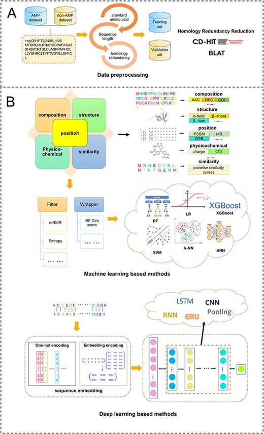 Overview of current computational approaches for AMP prediction. (A) pre-processing to build data set, (B) structure of the CNNs used in this study.