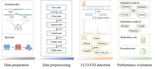 Overview of the experiments and evaluations. The data preparation phase included the generation of simulated data and DNA sequencing of real data. The data pre-processing phase involved the quality control of raw sequencing reads, mapping to the reference genome and mapping refinement. Then FLT3-ITD signals were detected using PCR followed by CE and computational methods. Finally, a comprehensive performance evaluation of FLT3-ITD detection tools based on the qualitative and quantitative detection capabilities, redundancy rate and execution time was conducted.