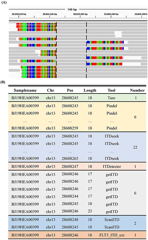 Example of redundant FLT3-ITD lists generated by the six software platforms. (A) Integrative Genomics Viewer screenshot of a positive sample (FLT3-ITD of 18 bp at chr13: 28 608 245–28 608 262). Reads covering ITD are marked as coloured soft-clipping. The black dotted line represents the left and right breakpoints formed by aligning these reads to the reference genome, and the sequences between the two breakpoints represent the repeated fragments. (B) FLT3-ITD lists detected by Pindel, ITDseek, ITDetector, getITD, ScanITD and FLT3_ITD_ext.