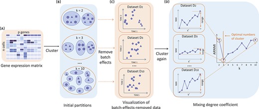 The workflow of REBET. (A). Inputs of this method: a gene expression data matrix of $n$ cells in rows and $p$ genes in columns. (B). SC3 was used to cluster the input data with a range of potential cluster numbers (From top to bottom, $k $ from 2 to 10). Small squares, triangles and circles all represent cells, and different shapes indicate different cell clusters (there are three cell clusters in total). When the cells are in the same blue background color circle, it means they are partitioned into the same cluster. (C). Each clustering result was treated as a batch variable to remove the batch effect from the input data. To illustrate the effect of removing batch effects, we visualized the batch-effect-removed data by applying t-distributed Stochastic Neighbor Embedding(t-SNE) for dimensionality reduction. When the $k $ value is less than the true number of cell clusters, the batch-effect-removed data $\textbf{D}_{k}$ still contains the information of the cell cluster label. Such as Dataset $\textbf{D}_{2}$ can still be separated by the first principal component. (D). The batch-effect-removed data were clustered separately again, and the mixing degree coefficient, ARNMI, was calculated. The number of clusters corresponding to the minimum ARNMI value is the number of cell clusters determined by REBET.