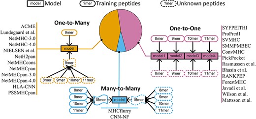 Categorization of MHC prediction tools into three training strategies.
