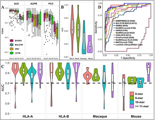 Prediction performance of the BVLSTM-MHC model in cross-validation. (A) Distribution of various performance metrics (AUC, AUPR and PCC) for various recurrent neural network models (BVGRU, BVLSTM, GRU and LSTM), stratified by MHC allele classes (HLA-A, HLA-B and HLA-C). (B) Distribution of AUC of the BVLSTM-MHC model on the test dataset. Results for chimpanzee and HLA-C were not plotted due to limited data points. (C) Distribution of AUC of the BVLSTM-MHC model on the test dataset, stratified by peptide length. Results for chimpanzee and HLA-C were not plotted due to limited data points. (D) Receiver-operating-characteristic curves of BVLSTM together with another 10 competitors. AUC values were annotated to each method.
