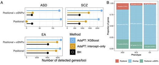 (A) Comparison of the number of selected genes/loci at FDR level $\alpha = 0.05$ for each phenotype by positional assignment. AdaPT: XGBoost results are presented in comparison to BH and AdaPT: intercept-only baselines which do not account for metadata. (B) Comparison of the proportion of implicated genes that overlap between the two types of positional assignment results, based on the AdaPT: XGBoost results for each phenotype.