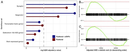Enrichment analysis of genes/loci ranked by one-sided ASD z statistics, adjusted for size, by positional assignment. (A) BH-adjusted GSEA $P$-values are displayed on the -log$_10$ scale, with FDR target level $\alpha = 0.05$ indicated by dashed gray line. Enrichment score for (B) synaptic and (C) epigenetic genes/loci with tick marks denoting gene/locus rank based on Positional + eSNPs ASD z statistics, adjusted for size, in descending order.