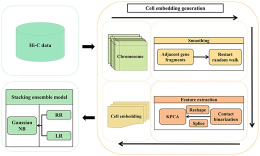 The overall framework of scHiCStackL.