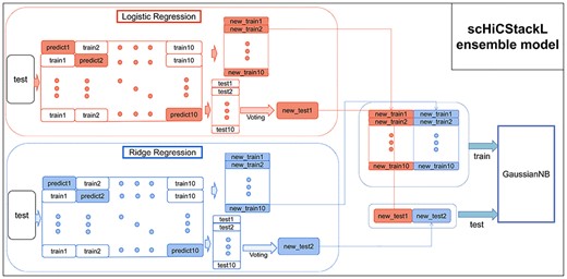 The structure of the scHiCStackL ensemble model.