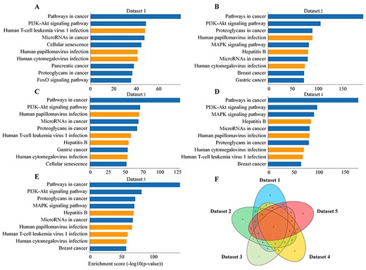 Enrichment analysis of KEGG pathways in five datasets. (A–E) The bar graphs show top-ten pathways of enrichment using targets of selected host miRNA that interacted with SARS-CoV-2 in five datasets according to Enrichment score (−log10 (P-value)). The orange bars represent virus-related diseases. (F) The Venn diagram shows the common and unique pathways in five datasets.