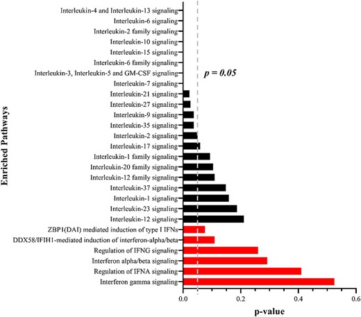 Pathway enrichment analysis by the shared target of host miRNAs. The black bars represent IL signaling pathways and the red bars represent IFN signaling pathways. P < 0.05 means a significant difference.
