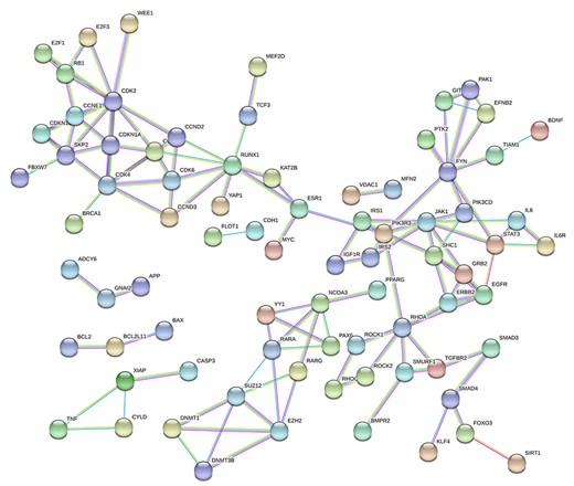 PPI network of the common genes in five datasets. The protein–protein network was set to the level of confidence score > 0.9 (highest confidence in STRING).