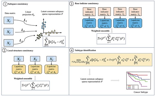 Workflow of subtype-WESLR. Matrix $X_p$($p$=1,...,3) and $Y_q$($q$=1,...,4) are the inputs. Subtype-WESLR projects each sample feature profiles from each data type to a common latent subspace corresponding to subspace consistency, which should keep the local structure of the original sample feature space and be consistent with the weighted ensemble clustering, i.e. maintaining local structure consistency and base indictor consistency, and optimizes $F$ by an iterative method. The matrix $F$ can be used for cancer subtype identification. For each row in matrix $F$, the column with the maximum value is the cluster index of a cancer subtype.