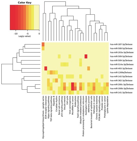 Significant signaling pathways about the differentially expressed miRNAs by utilizing the DIANA-miRPath.