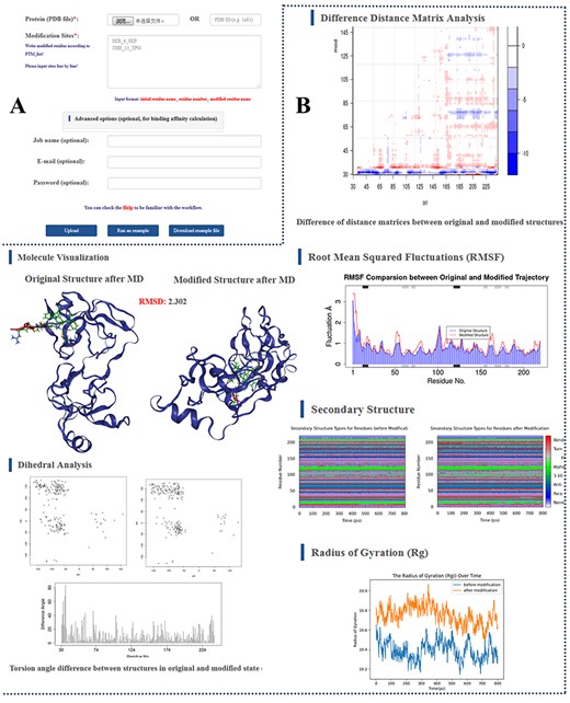 Screenshots of the PTMdyna webpages. (A) The input page for submitting job. The inputs include an upload PDB file, modification information and four optional contents (chain groups, task name, E-mail and password). (B) ‘Structure & Parameter’ tab of output page. This tab contains molecule visualization, dihedral analysis, distance difference analysis, secondary structure comparison and Rg comparison.