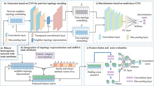 Framework of the proposed GMDA model. (A) Construction of bilayer heterogenous network with node attributes. (B) Generator based on CNN integrates the neighbor topology embedding of miRNA and disease nodes and produces neighbor topology representation. (C) Discriminator based on multi-layer CNN discriminates true topology embedding and the false one. (D) Integration of topology representation and miRNA node attributes to form enhanced feature matrix. (E) Final fusion and association score prediction.