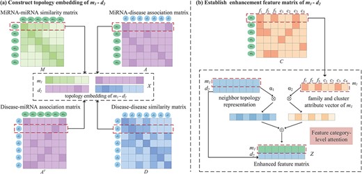 An illustration of the proposed construction of topology embedding and formation enhancement matrix between a pair of miRNA and disease. (A) Topology embedding matrix $X$ of ${m_{1}}-{d_{2}}$ by embedding mechanism. (B) An attention mechanism at the feature category level combines the neighbor topology representation, family and cluster attributes of $m_{1}$ to establish pairwise enhanced feature matrix.