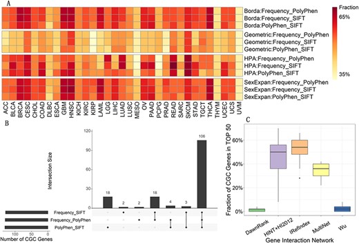 Analysis on the first vote. (A) Fraction of CGC genes in top $50$ of 3 feature combinations when applying different voting strategies. Each column corresponds to one kind of cancer and each row represents one feature combination applying one voting strategy, i.e. voting method: feature combination. ‘Fraction’ in the legend refers to the percentage of CGC genes in top 50. Note that Geometric represents the voting method Geometric mean. (B) Overlap of CGC gene sets predicted by 3 feature combinations in the voting method HPA. Each bar on the bottom left represents the number of all CGC genes in top $50$ of $33$ kinds of cancer predicted by each feature combination. Each panel on the right displays the intersection size of predicted CGC genes sets. (C) Fraction of CGC genes in top $50$ of 5 gene interaction networks in the voting method Geometric mean. Each panel includes results of all $33$ types of cancer and represents one gene interaction network.