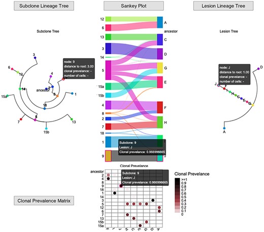Space Prevalence interface (https://sc.deepomics.org/oviz-project/analyses/space_prevalence) on demo data A21. There are subclone lineage trees, Sankey plot or clonal prevalence matrix and lesion lineage tree from left to right. It visualizes the clonal prevalence across subclones and lesions vividly. For instance, subclone 5 was detected in four lesions (C, G, E and H); lesion D was dominant by subclone 3. The tooltip will display the name of the subclone/lesion, the clone prevalence at each timepoint if available. The corresponding subclone/lesion in the lineage tree, fishplot and Sankey plot will be highlighted.