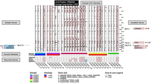 Recurrent Event interface (https://sc.deepomics.org/oviz-project/analyses/recurrent_event) on demo data LC. From left to right, there are deleted gene boxes, sample subclone CNV stairstep and amplified gene boxes. The bottom layers show the sample metadata and recurrent genes. This demo figure indicates recurrent CNV gains on oncogenes CDKN2A, TP53, KEAP1 and SMARCA4 across lung cancer patients.