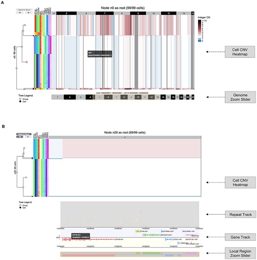 CNV heatmap interface (https://sc.deepomics.org/oviz-project/analyses/heatmap). (A) The display of CNV heatmap with genome zoom slider on demo data TNBC_T10. Users can adjust and drag the slider along the genome region to zoom-in and out. It shows the CNV profiles of five cut-dendrogram clades from chr4:146 000 001 to chr13:25 500 000. This demo figure shows two amplified tumor clumps (colored red), and one subclone exhibits loss of heterogeneity (colored with white and blue). (B) The display of local region chr2:140924620–145924620 CNV heatmap with repeat/gene track and a local region zoom slider on demo data TNBC_T10. The repeat elements in RepeatMasker database are stacked along the 50 M local region in the repeat track. When the mouse cursor hovers, the tooltip will display the names of repeat class, repeat element, repeat family, genome position and strand information of a selected repeat. The gene track lists all transcripts available (e.g. LRP1B) in the 50 M area. When the mouse cursor hovers on it, the tooltip will display the transcript name, gene body interval, exon number and exon intervals for covered gene exon. Users can adjust and drag the slider along the local region to zoom-in and out.