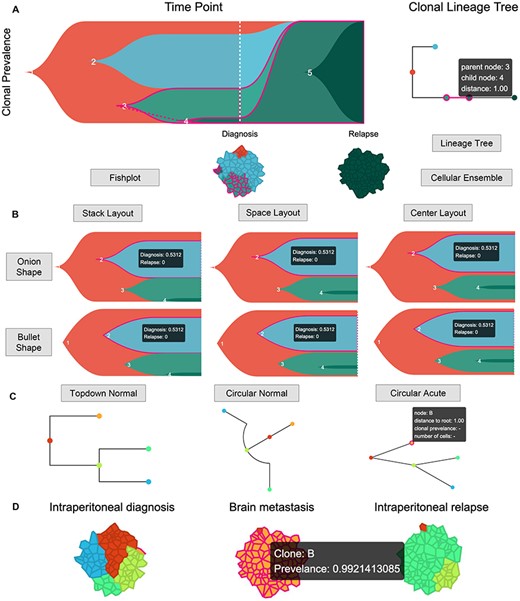 Time Lineage interface (https://sc.deepomics.org/oviz-project/analyses/time_lineage). (A) The whole display of Time Lineage on demo data AML. The top left, top right and bottom place the fishplot, lineage tree and cellular ensemble, respectively. We observed four tumor clumps at the time of diagnosis: subclones 2, 3, 1 and 4 ordered with cellular prevalence from high to low. The fishplot and lineage tree show the tumor originated from subclone 1. Next, it derived to subclones 2 and 3. Then subclone 3 evolved into subclone 4. By the time of relapse, all pre-existed subclones 1–4 were distinct, and the subclone 5 evolved from subclone 4 occupied the entire lesion. When the mouse cursor hovers on the one Oviz object (e.g. the lineage tree branch between subclones 3 and 4), all related Oviz objects (e.g. subclones 3 and 4 in fishplot and cellular ensemble) are highlighted, and tooltips with vital information will appear. (B) The display of fishplot with available shapes and layouts on demo data AML. When the mouse cursor hovers on one subclone, it will be highlighted, and a tooltip with its cellular prevalence at all timepoints will appear. (C) The display of lineage tree with available shapes on demo data HGSOC_P7. The tumor started from subclone A and derived to subclones B and C. Then, subclone C further evolved to subclones D and E. If the mouse cursor hovers on one clone node, it will be highlighted, and tooltips with its node name, distance to root, clonal prevalence and the number of cells will appear. (D) The display of cellular ensemble of five tumor clumps with three timepoints: intraperitoneal diagnosis, brain metastasis and intraperitoneal relapse for demo data HGSOC_P7. If the mouse cursor hovers on the cellular clump, it will be highlighted, and a tooltip with its clonal name and prevalence will appear.