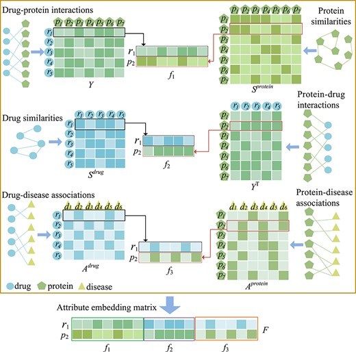 Similarity matrices, interaction matrices and association matrices derived from corresponding networks of drugs, proteins and diseases. The detailed process of the proposed embedding strategy. Considering drug ${r_{1}}$ and protein ${p_{2}}$ as examples, the attribute-embedding matrix of ${r_{1}}$ - ${p_{2}}$ is constructed.