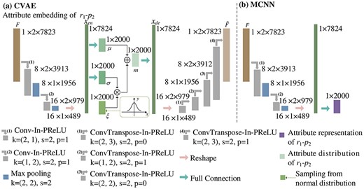shows the process for the extraction of the pairwise attribute distribution and attribute representation of ${r_{1}}$-${p_{2}}$.