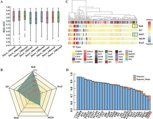 The contribution of DNA shape in TFBSs prediction. (A) The ROC–AUC of D-SSCA by varying the number of convolutional kernels and the number of convolutional layers. The x-axis corresponds to the code of variants, and the y-axis corresponds to the ROC–AUC scores. (B) The overall contribution of Roll, EP, HelT, MGW and ProT in TBFSs prediction. (C) The detailed analysis of the contribution of each shape on the 165 ChIP-seq datasets. Each column in the heatmap refers to one ChIP-seq dataset. These columns are organized by hierarchical clustering. The green boxes represent the ChIP-seq dataset where the contribution of Roll and HelT is reversed. (D) The ROC–AUC comparison between D-SSCA based on sequence+shape and D-SSCA only based on the sequence. The red box represents the category of TF with the most significant ROC–AUC improvement when combining sequence and shape compared to only using sequence information.