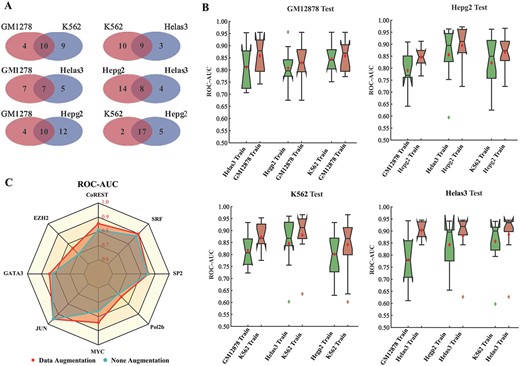 Performance of cross-cell line TFBSs prediction. (A) The overlap of TFs across GM12878, K562, Helas3 and Hepg2 cells. (B) The ROC–AUC comparison between cross-cell line prediction and conventional prediction. The cross-cell line prediction indicates that D-SSCA is constructed on other cell lines, and then used to predict TFBSs in the cell line of interest. (C) The ROC–AUC comparison between data augmentation and none augmentation. The data augmentation refers that D-SSCA is constructed using the universal dataset.