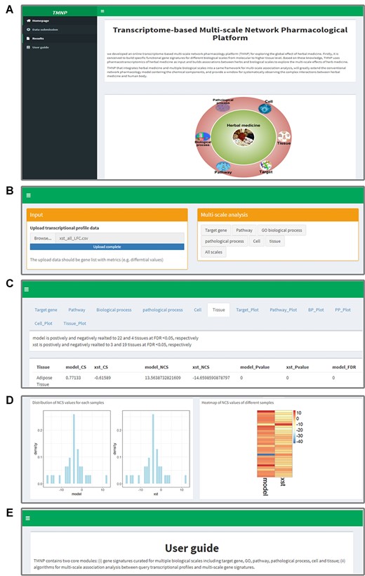 An illustration of the TMNP website. (A) The ‘Homepage’ of TMNP shows the overview. (B) The ‘Data submission’ page for uploading the query gene expression data. (C) The detailed result data of the multi-scale association analysis in the ‘Results’ page. (D) The further plotting of the result data in the ‘Results’ page. (E) The ‘User Guide’ page details the procedure and the principle of the algorithm embedded in the TMNP, and also offers two cases.