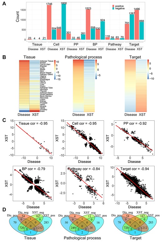 Multi-scale analysis of Xuesaitong injection against stroke in TMNP. (A) The number of the significantly associated gene signatures on each scale by Xuesaitong and disease model (FDR < 0.05). They can relate to different signatures positively (NCS > 0) and negatively (NCS < 0). (B) The heatmap of NCS values on each scale for Xuesaitong and disease model. Only three scales are shown and other heatmaps can be found in Supplementary Figure S1. (C) The correlation of NCS values on each scale between Xuesaitong and disease model. (D) The Venn diagram for the significantly associated gene signatures on each scale by Xuesaitong and disease model. Dis_neg indicates those signatures negatively related to the disease model. Dis_pos indicates those signatures positively related to the disease model. XST_neg indicates those signatures negatively related to Xuesaitong. XST_pos indicates those signatures positively related to Xuesaitong. Only three scales are shown and other diagrams can be found in Supplementary Figure S2. NCS: normalized correlation score.