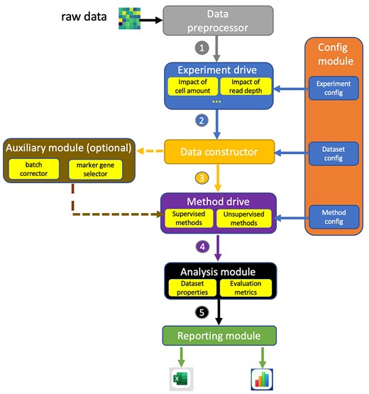 The workflow of scRNAIdent pipeline. It consists of seven core modules and one optional module. Core modules include configuration module, data preprocessor, experiment drive, experimental data constructor, method drive, analysis module and reporting module. The numbers in the figure represent the sequence of the workflow. The experiment drive module includes all experimental drives (e.g. impact of read depth) and executes the corresponding drive for the ongoing experiment specified in the experiment configuration. Data constructor module constructs specific training and testing datasets for the ongoing experiment based on the dataset configuration. Method drive modules includes all method drives and runs methods with parameters specified in the method configuration. The optional module is an auxiliary module lying between the data constructor and method drive, providing functionalities of removing batch effects and computationally selecting marker genes. Analysis module provides functions to calculate the training/testing dataset properties and evaluating metrics on the classification/clustering results.