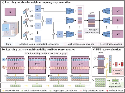 The pipeline of the proposed ALDPI method for DPI prediction. Given drug $r_i$ and protein $p_j$, two types of representations are learned by (A) topology representation learning module based on convolution operations, graph convolutional autoencoder and neighbor topology-level attention and (B) attribute representation learning module consist of CNN. Finally, (C) topology and attribute representation are integrated to estimate the interaction score of $r_i-p_j$.