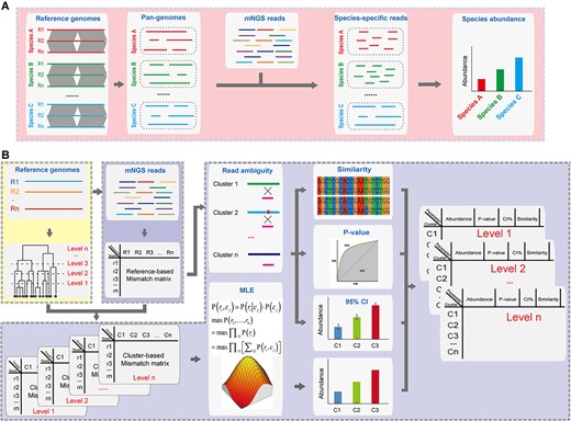 Schematic of the MIST package. (A) Species-level typing. MIST maps the mNGS reads against the pan-genomes of each species and counts the species-specific reads for estimation of species abundance. (B) Strain-level typing. MIST starts by mapping the mNGS reads against all reference genomes. The mismatch information extracted from the SAM files is then converted to the probability of each read derived from each reference genome. This reads-based probability matrix is compressed into a cluster-based matrix according to the clustering results of the reference genomes. MLE is then imposed upon the matrix to infer the most likely abundances of each cluster in the mNGS dataset. Next, read ambiguity is used to quantify the abundance uncertainty along with the similarity of the sample’s components to reference genomes. Finally, all results are integrated and presented in a hierarchical manner. The module ‘Species’ is highlighted by the red box, the module ‘Index’ and ‘Cluster’ by the yellow box, and the module ‘Strain’ by the purple box.