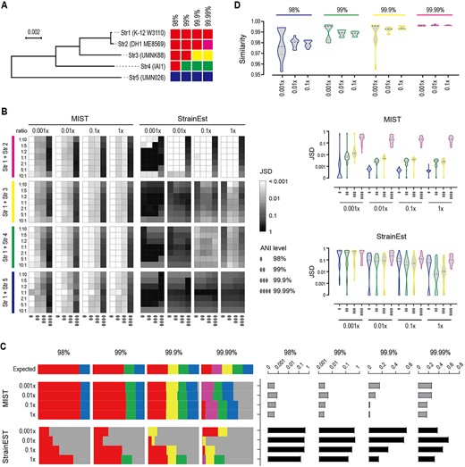 Performance evaluation using synthetic mNGS datasets. The efficacy of MIST is benchmarked against StrainEst. (A) Phylogenetic relationship between the five tested E. coli strains. They were str1 (K-12 substrain W3110, accession no. CP017979), str2 (DH1 ME8569, accession no. AP012030), str3 (UMNK88, accession no. CP002729), str4 (IAI1, accession no. CU928160), str5 (UMN026, accession no. CU928163). The five strains are grouped into different clusters according to different ANI thresholds. The neighbor-joining tree shows a gradient ANI distance between str1 and the other four strains. (B) Performance in two-component co-infections. Str1 is mixed with one of the other four strains with different ratios and at different sequencing depths, and the mixture is disentangled at different ANI resolutions. The JSD index is used to assess the accuracy of the prediction. A smaller JSD value indicates a more accurate estimation. Heatmap (left) and violin plot (right) show the JSD values at different mixing ratios. The evaluation is performed at four different resolutions, namely 98%, 99%, 99.9% and 99.99% ANI. (C) Performance in five-component co-infections. The five strains are mixed at equal ratios. The clusters they belong to at different ANI resolutions follow the same color scheme as panel (A). The gray color represents the wrong cluster. The abundance estimate is shown on the left; the corresponding JSD values on the right. (D) Assessment of similarity to reference genomes. The expected cluster that str1 belongs to at different ANI levels is withdrawn from the reference genome database. The violin plot shows the similarities that MIST reports based on the reads mapping to sister clusters. For example, at the 98% level, removing the expected cluster would lead to assigning the reads to a sister cluster but reporting a similarity of around 98% of the query reads to the sister cluster.