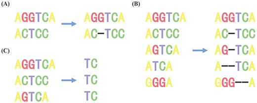 This figure shows various types of SA. (A) shows PSA and global SA, (B) shows MSA and global SA and (C) shows MSA and local SA.