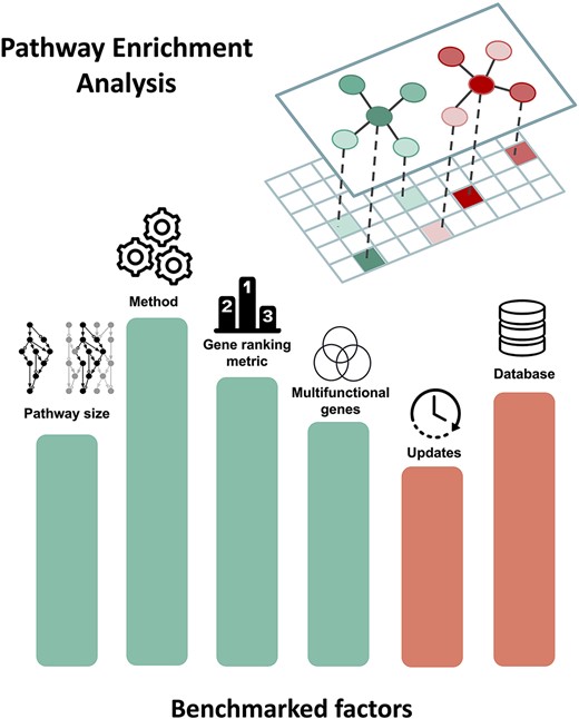 Illustration of major factors that influence the results of pathway enrichment analysis discussed in this review. The height and color of the bars are symbolic and do not correlate with importance. The two networks depicted above represent two biological pathways mapped to gene expression data (matrix below).