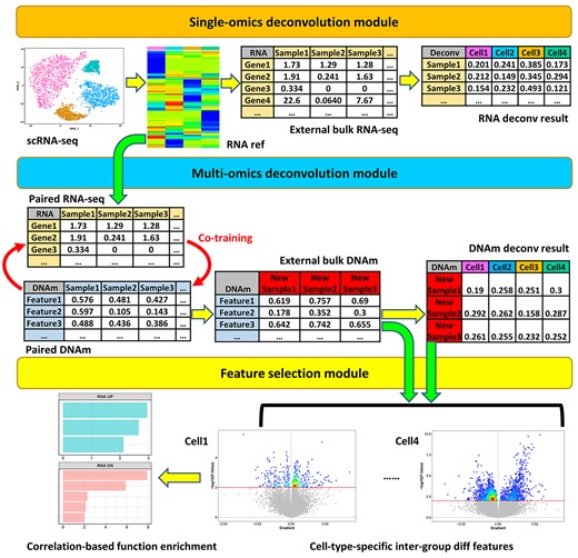 Package modules. The package has three modules: the single-omics deconvolution module, the multi-omics deconvolution module and the feature selection module.