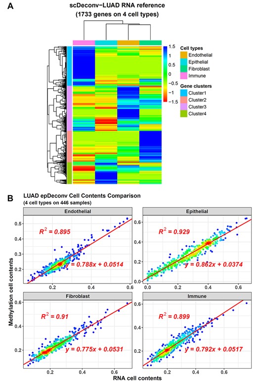 The deconvolution result on LUAD RNA samples highly correlates to the paired DNAm one. (A) The RNA reference from the epDeconv-LUAD model. (B) The paired RNA and DNAm data have similar cell deconvolution results from the epDeconv-LUAD model. The x-axes are the cell contents estimated from the RNA ensemble model and the y-axes are the ones from the paired DNAm ensemble model, and each dot is a donor with paired data.